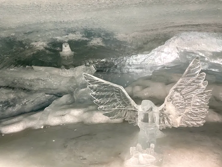 栩栩如生的老鷹