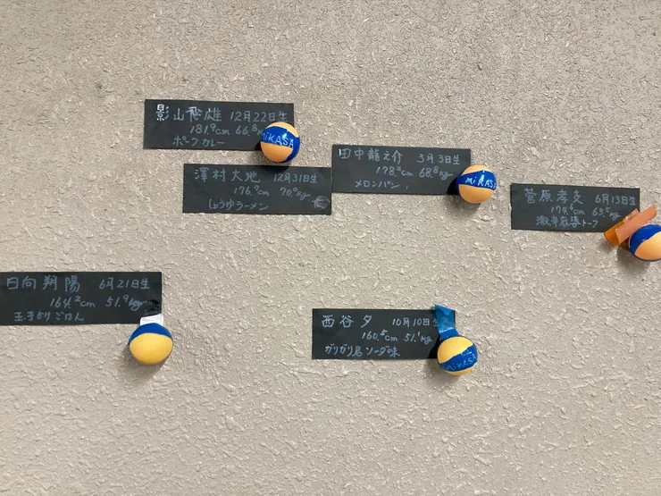 身高示意圖，但感覺比實際高度低了5公分