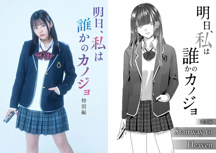 以上圖片截取自官網