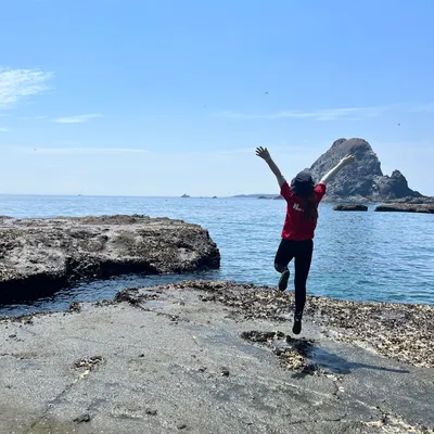 我有一畝鳳梨田的沙龍