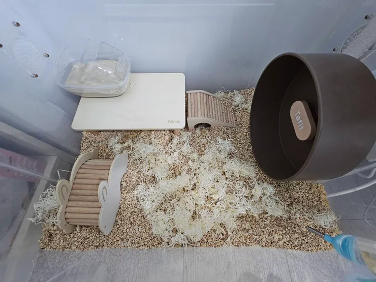 鋪上玉米梗跟巢料絲