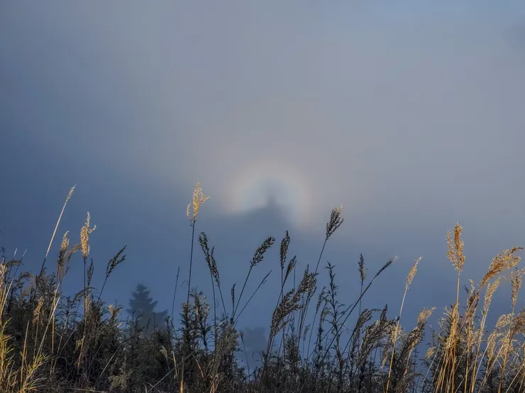遇見罕見的自然現象！！好開心啊～～❤️