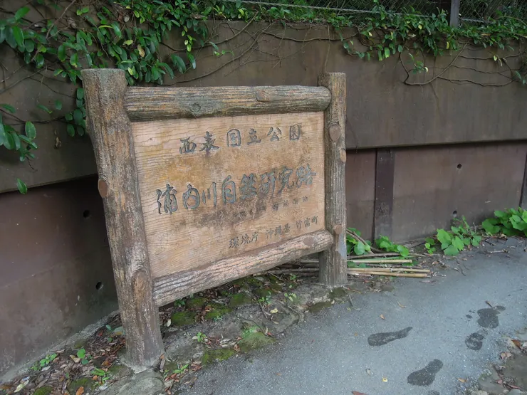 西表石垣國立公園 浦內川自然研究路