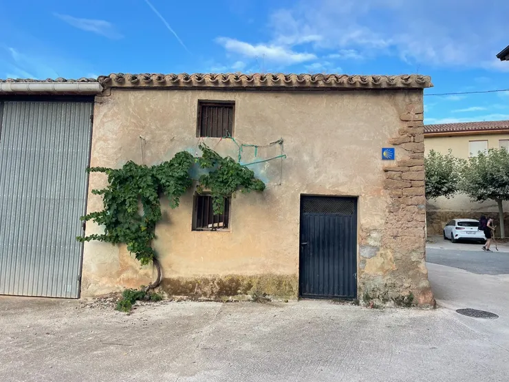 生命終會找到它自己的出路。這是我與Sonia夫妻道別後，路上看到的就隨手拍下了。