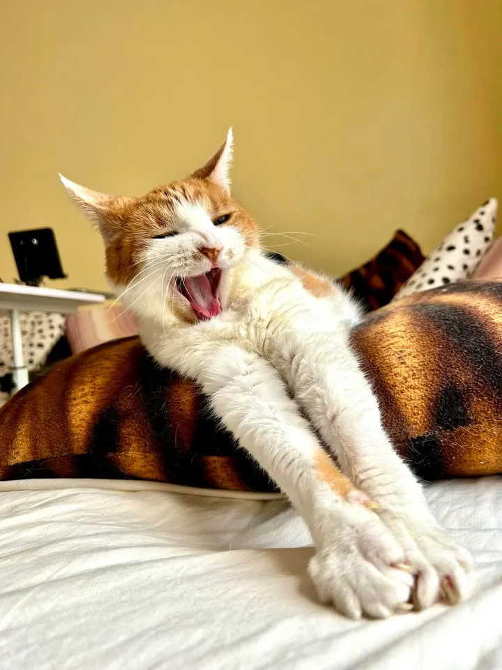 黃憨吉：大家一起來努力喔！