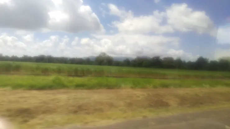 我一直覺得凱恩斯的路上像屏東，照片很糊我知道