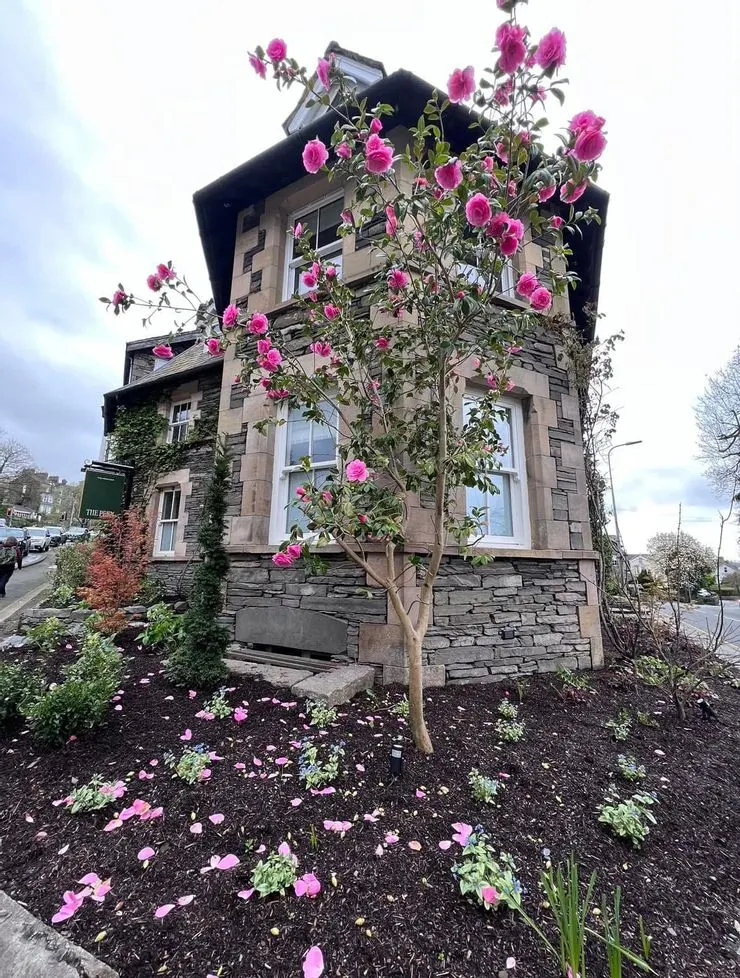 攝影師 Cynthia 👈👏👏👏👍👍👍