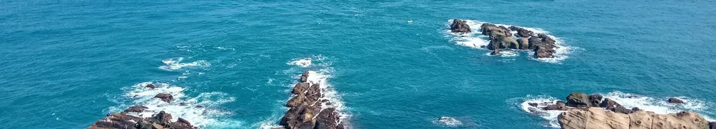 海大生的小日子的沙龍