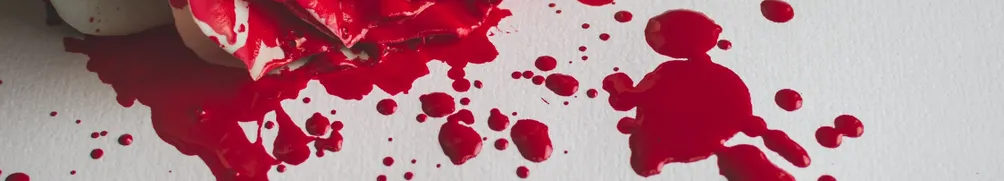 夏啟羽生(sheng)的沙龍