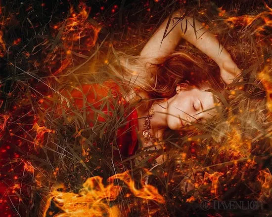  "Joan of Arc Trial by Fire"by Melinda Fox