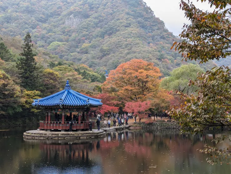 可以看到有一小撮轉紅