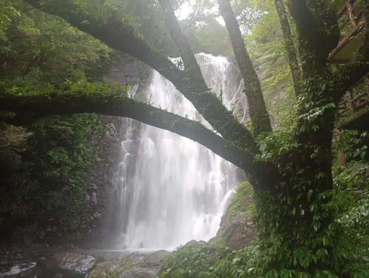 健行當日，適逢午後陰雨天氣，水量充沛