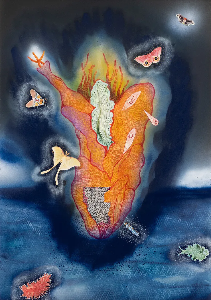 《夜晚的花瓣》