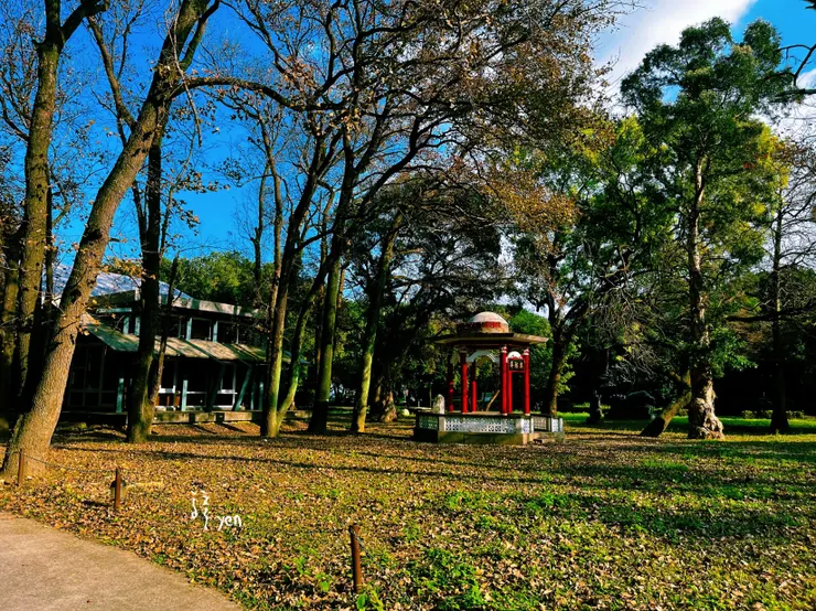 綠意盎然的校園