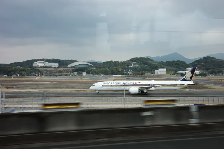 正好看到了新加玻航空的飛機