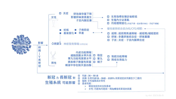 新冠病毒（SARS-CoV-2）和長新冠（Long COVID）對生殖系統的影響