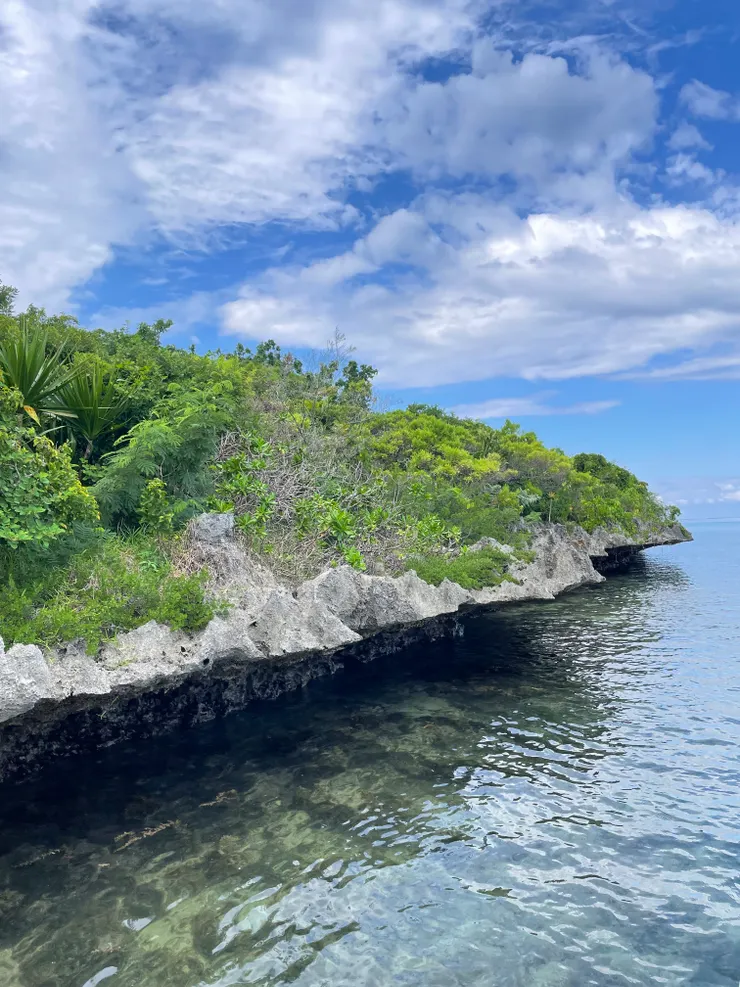 可以看到超大烏龜的小小小島