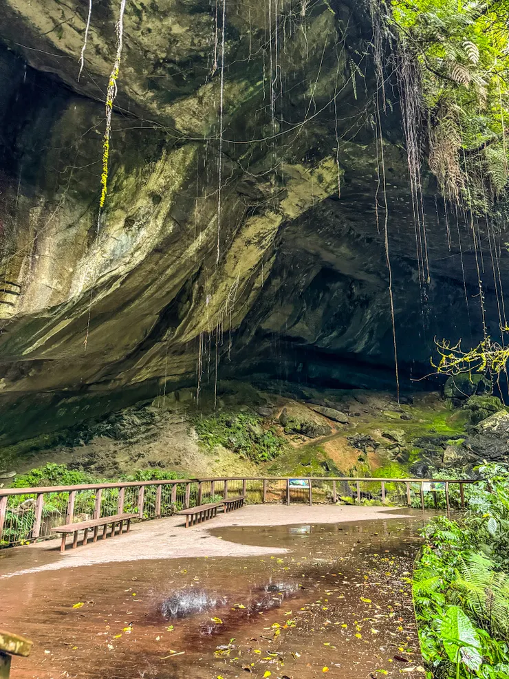 0926 抵達蝙蝠洞。