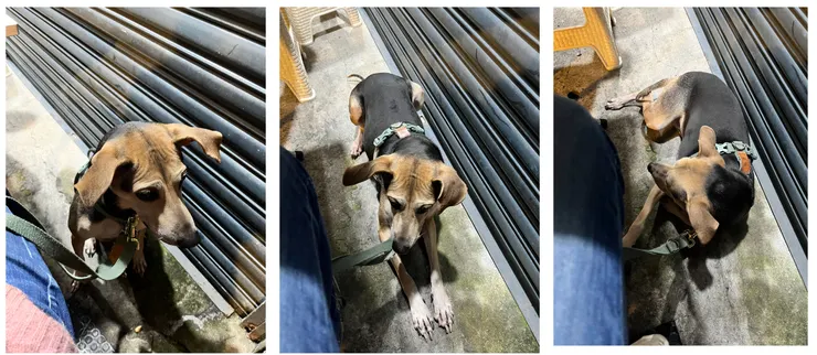 等到在戶外躺下,真是史上第一次