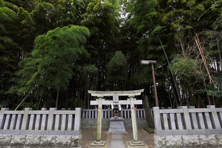 八幡不知藪（圖片來自：takape）