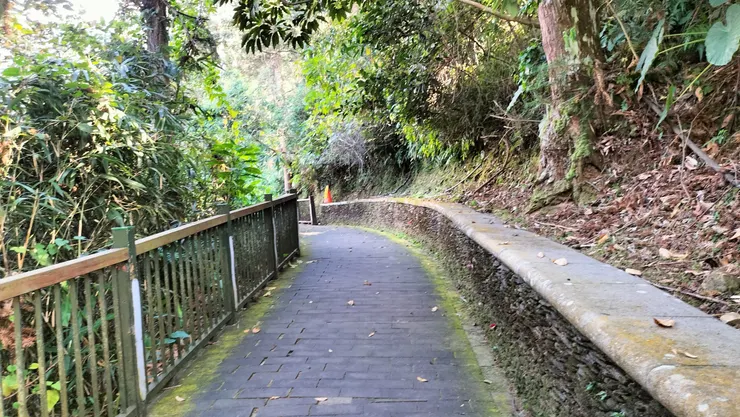 阿洛媚橄潭道步道/Mingling攝