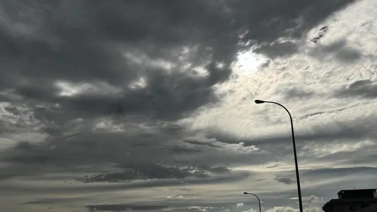 拍攝於2025年6月17日，台北 內湖