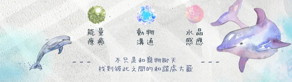 iiii Now 尤莎連結中