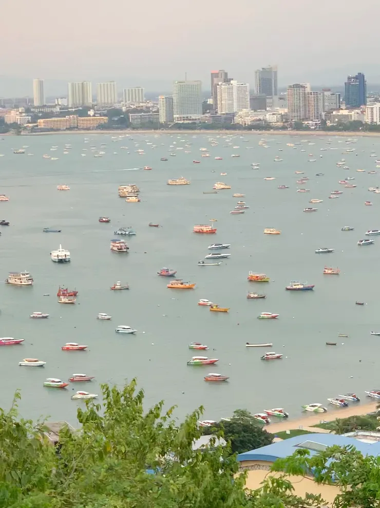 海上有超多船，很酷！