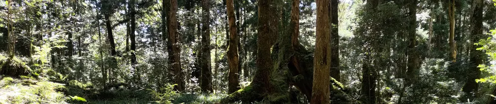 投資理財實驗室