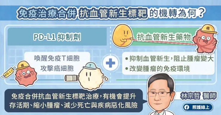 免疫治療合併抗血管新生標靶的機轉為何？