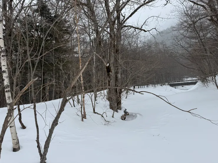 這一片就是最中雪，好玩。