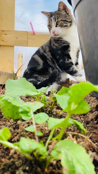 沒寫文的七月，其實過得還行!!｜七月小記