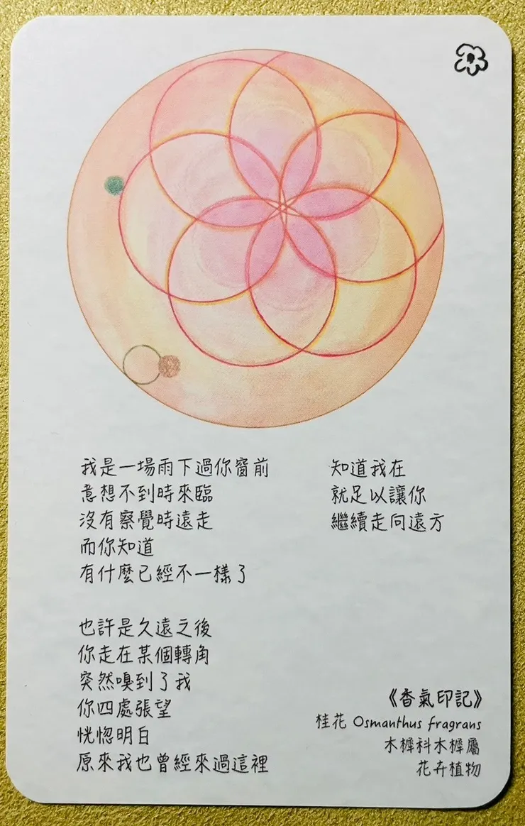 3.內在森林植物詩畫卡_香氣印記