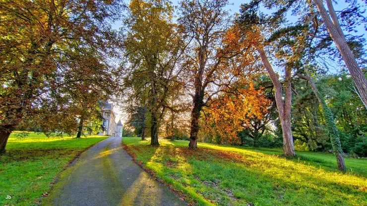 【腹地廣袤，且碧草如茵、巨樹成蔭，我們可自由漫步其間。】