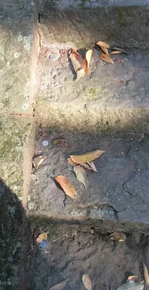 每一階都有 1元日幣