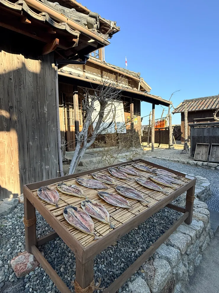 園區內的曬魚干場景