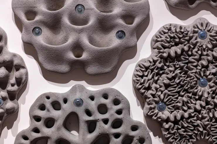 Living Seawalls by Reef Design Lab (2018)  photo: Luke Hayes