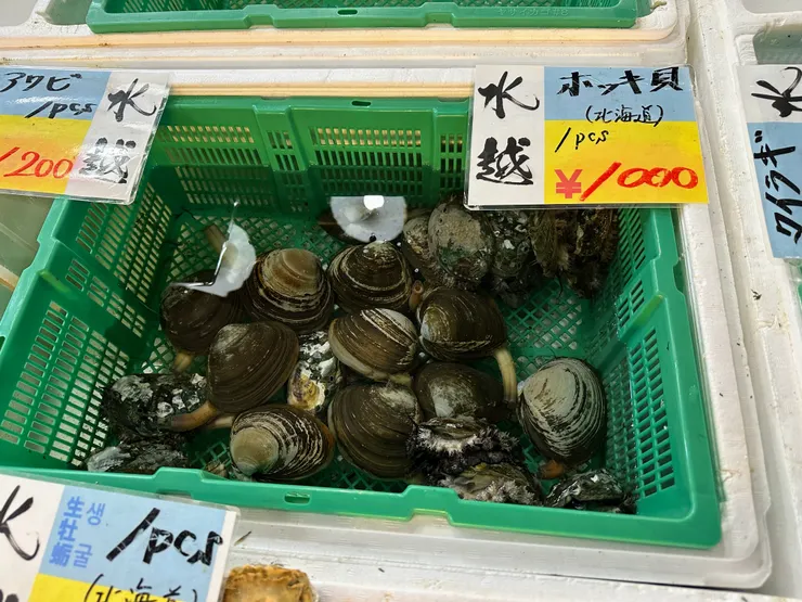 來自於北海道的北寄貝