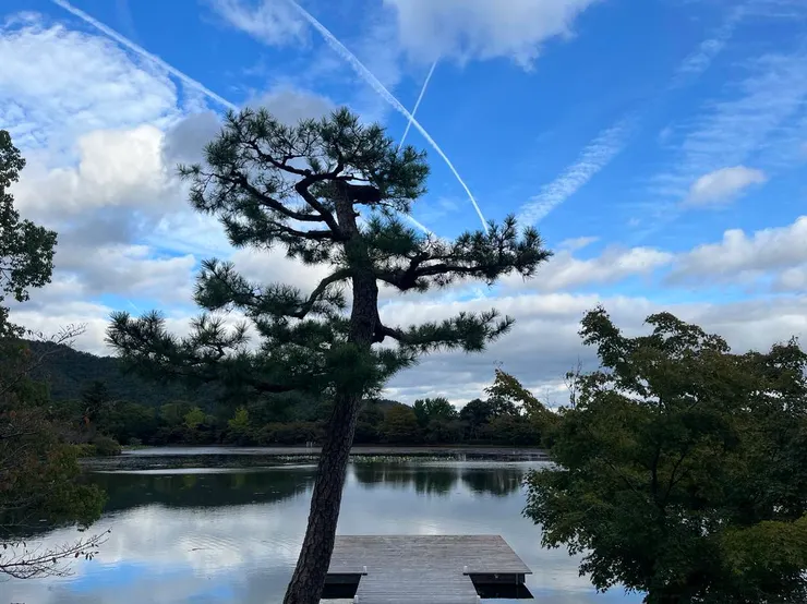 深深著迷著大沢池