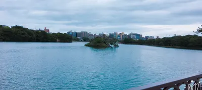 焦慮輕症者的沙龍