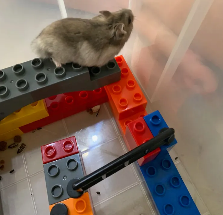 迷宮太小了啦！