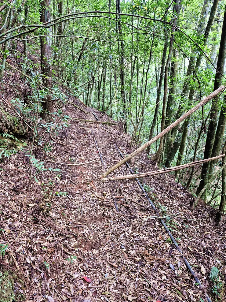 斑泊的鐵道訴說著古老的故事。