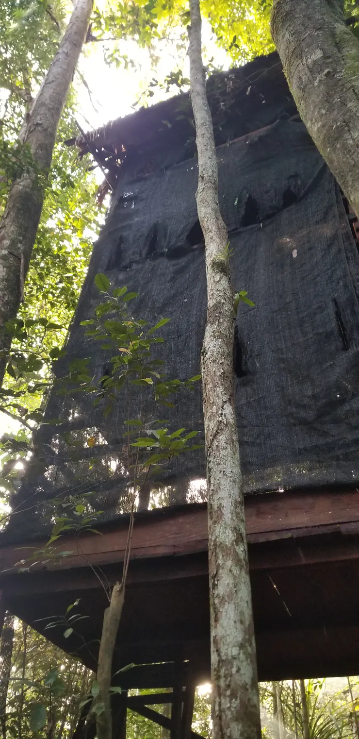 回程後天亮才拍到鳥屋情況