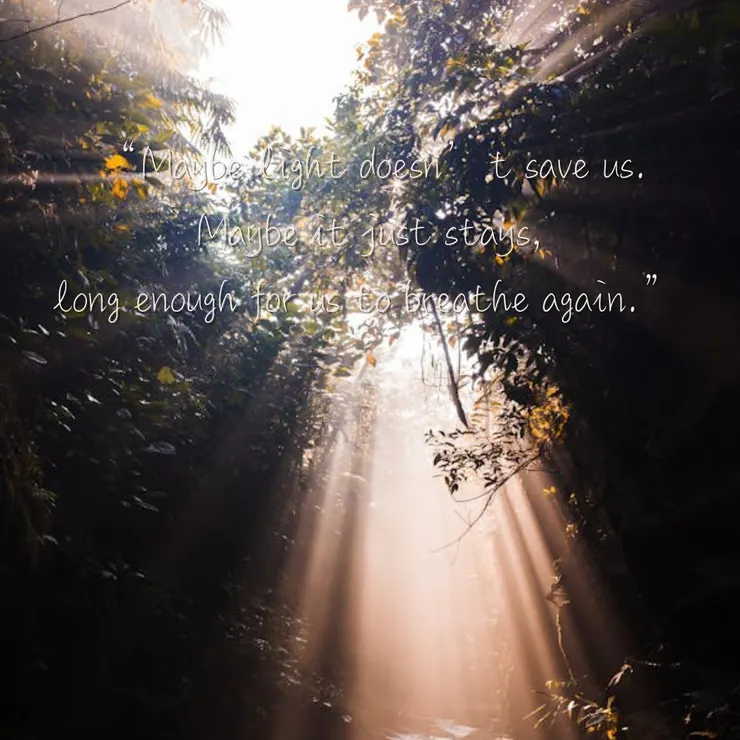 (也許光並不能拯救我們,它只是留下來, 讓我們有時間,再次好好呼吸。)