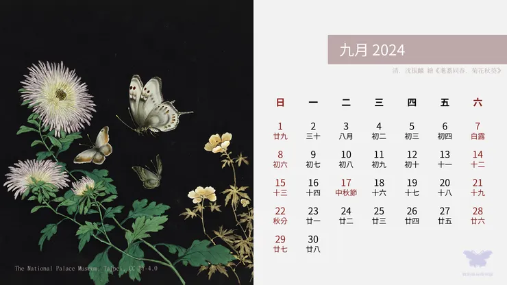 耄耋同春．菊花秋葵