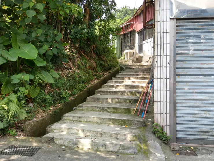 中南街旁通往中南公園的清幽小徑