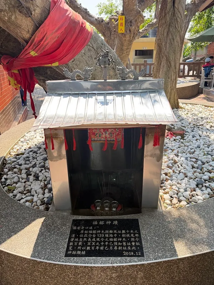 百年福榕（圖片截圖於網路）