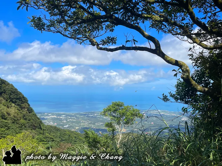 透過層層樹林間的縫隙,遠方的北海岸映入眼簾。山腳下散落著幾棟白色小房子,沿著蜿蜒的鄉間展開,一直延伸到海邊。湛藍的天空與潔白的雲朵交織成柔和的背景,讓這片山海風光顯得特別寧靜、清澈。