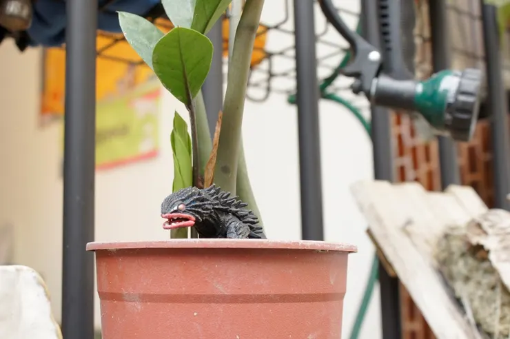 ▲《金花》無法修復的小玩具仍會做為盆栽裡的裝飾。攝影:呂國維