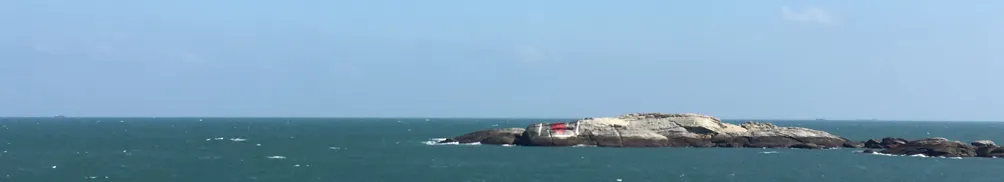 海龜先生的沙龍